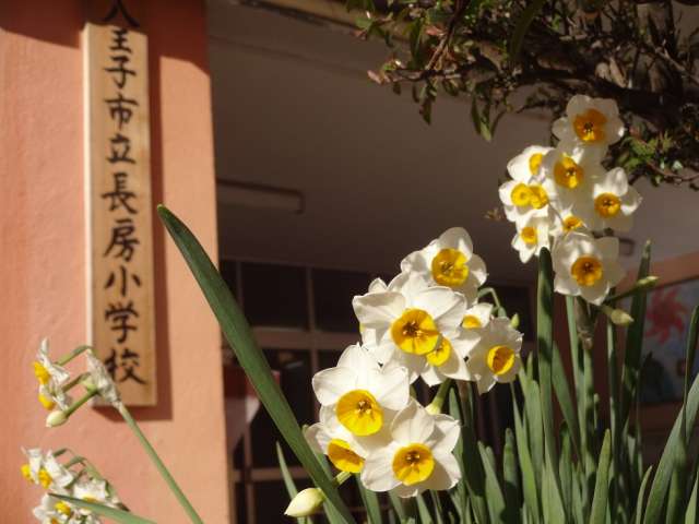 Kolet西八王子 小学校