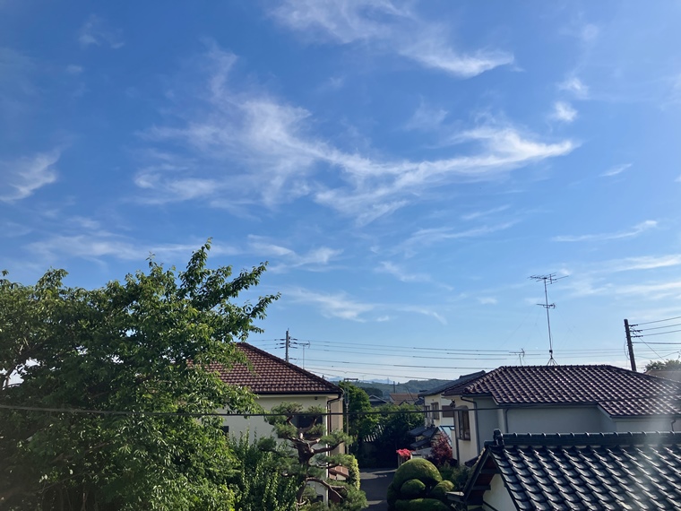 緑町戸建 眺望