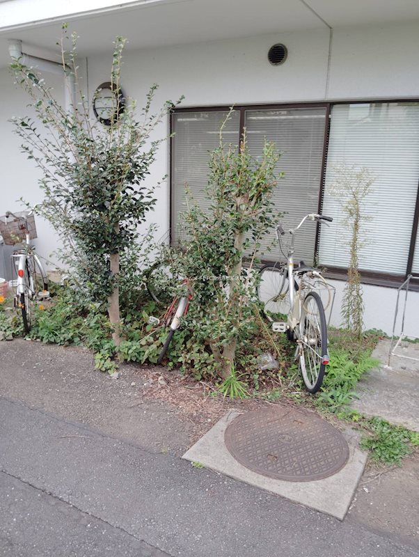 QU館 庭