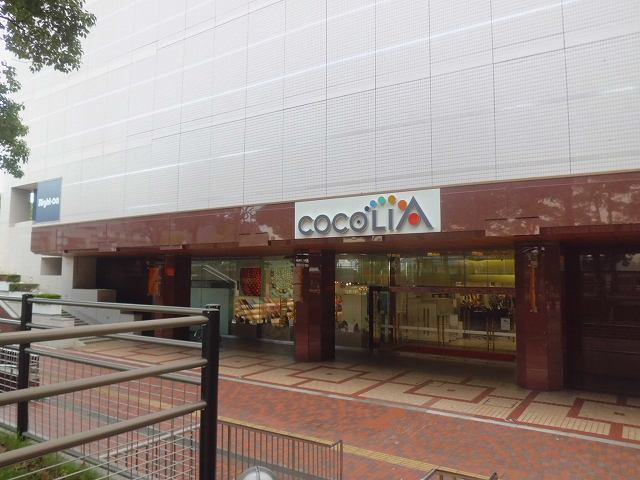 カーサ　プラシード その他