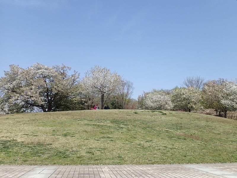 カインドネス京王堀之内 公園