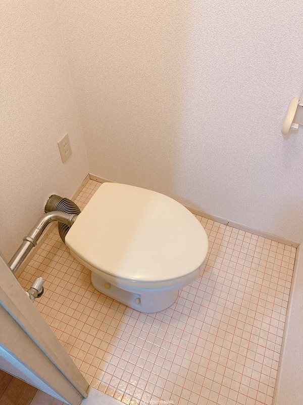 ブルースカイ トイレ