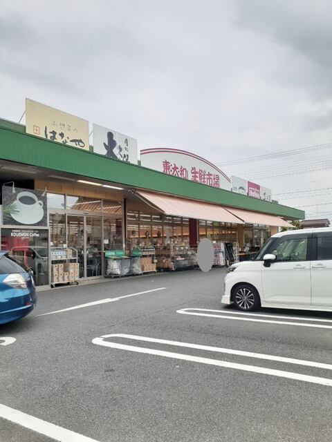 アヴニール その他