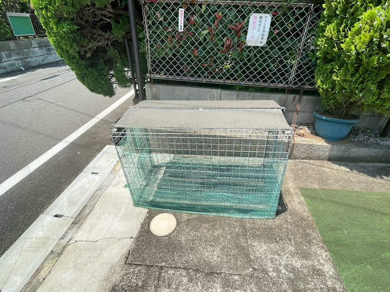 カリーナスピカ エントランス