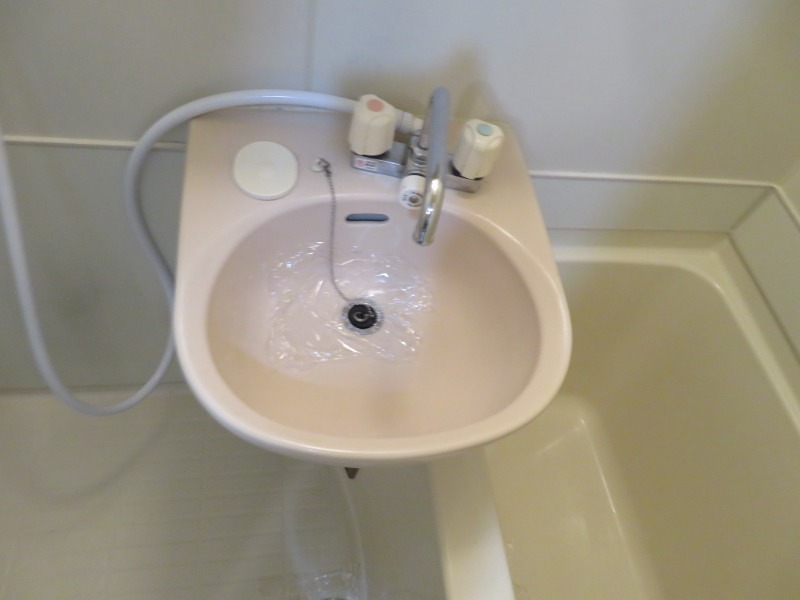 エステートロイヤル 洗面所