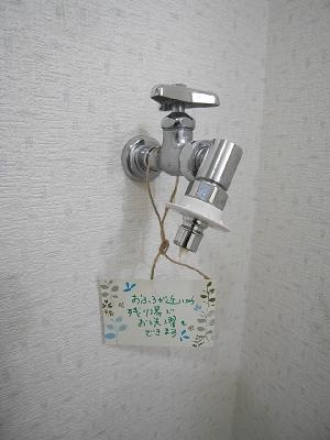ルミエールコマチ その他