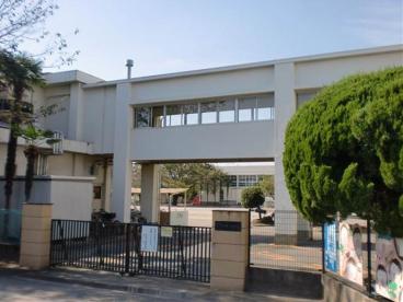 ルミエールコマチ 小学校