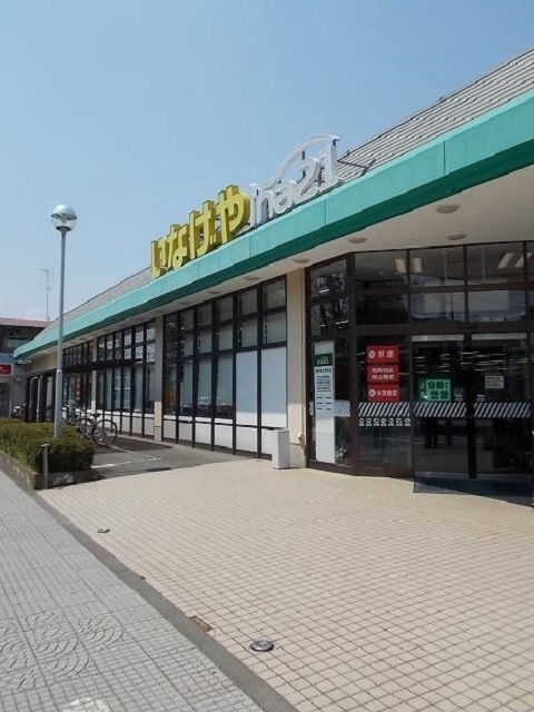 ヴィオレッタ その他