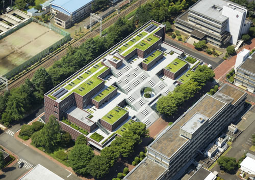 サングレイス柏 大学・短大