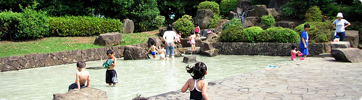 サングレイス柏 公園