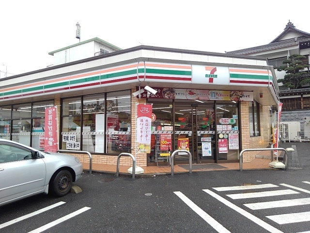 セレーナ　ヴィータ その他