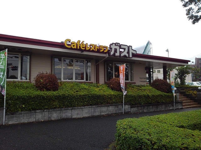 セレーナ　ヴィータ その他