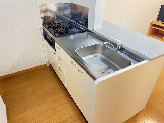 レオパレスポテトハウスⅡ その他