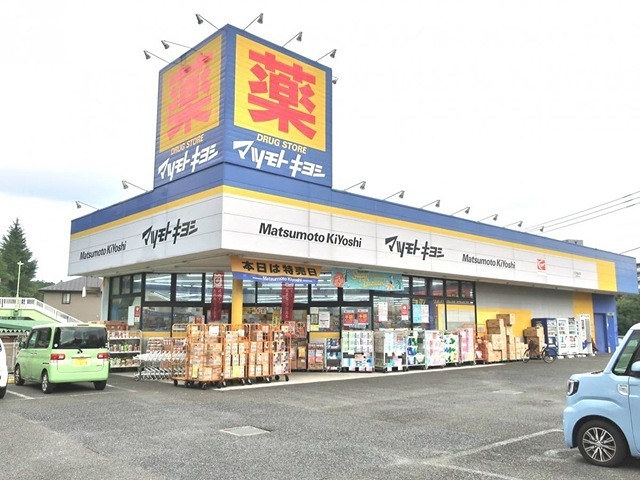 グランディス ドラッグストア