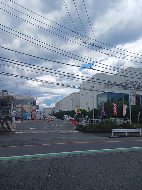 リノア是政 その他