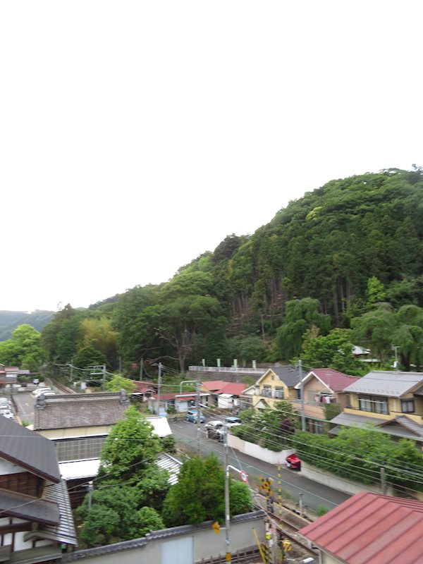 日神パレス青梅 眺望
