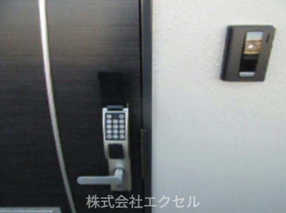 ワンピース セキュリティ