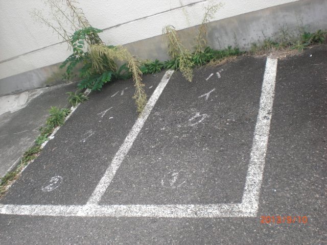 タンドリア伊野  その他