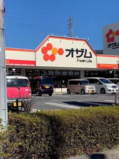 パルメゾン　ロータス その他