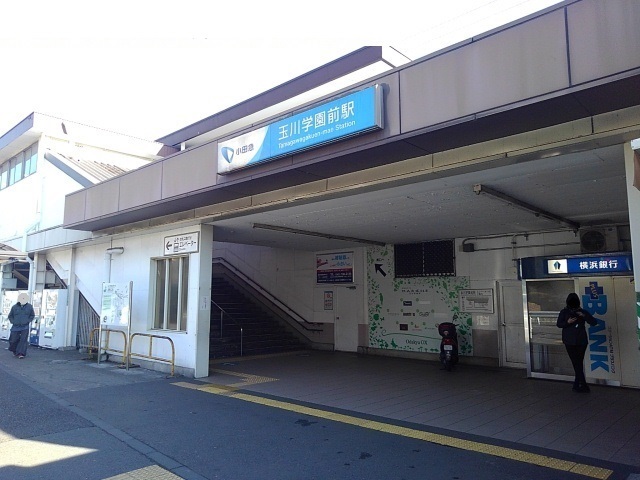 エレガンス・Ｔ その他