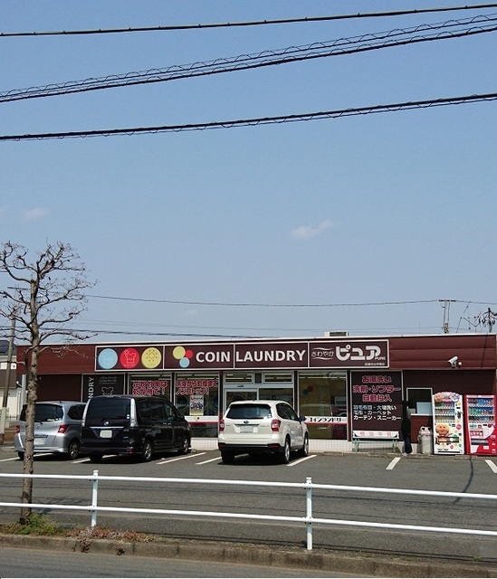 ライラック その他