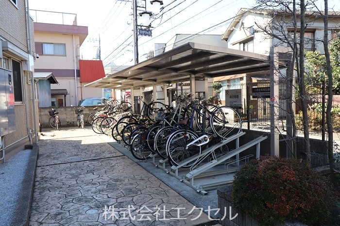 花水木１ その他