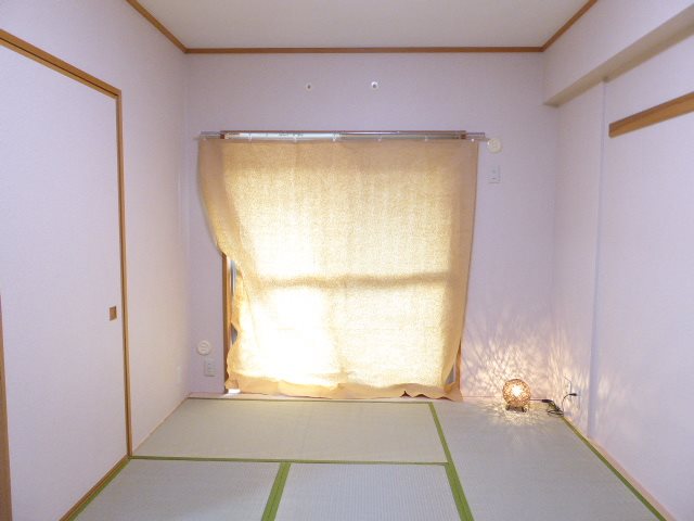 ペルシャモン上水 その他