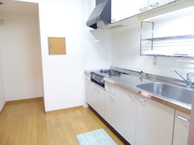 ペルシャモン上水 キッチン
