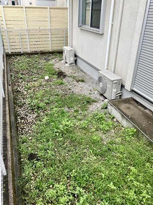 内藤戸建  庭