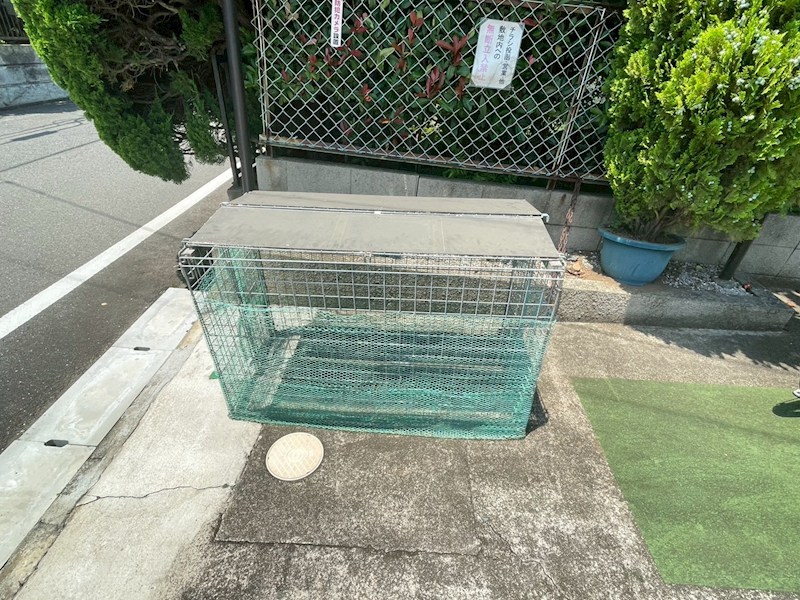 カリーナスピカ その他共有部分