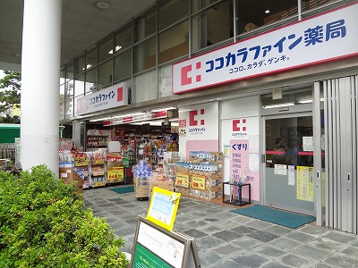 エクセレント桜新町 ドラッグストア