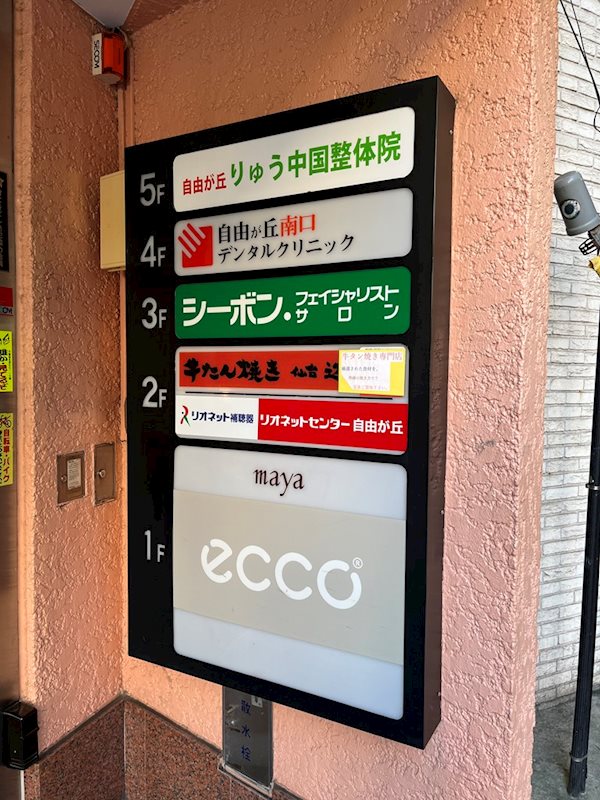 自由が丘マイセンビル 外観