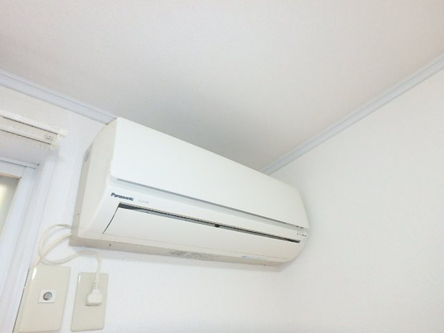 ドルフ渋沢 その他5