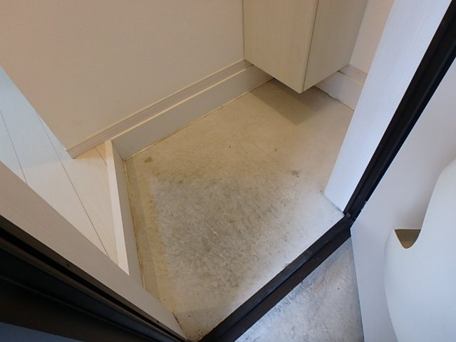 ルーム鴨居 玄関