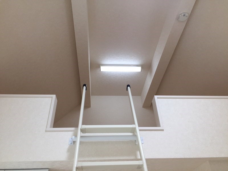 ソフィアソング その他