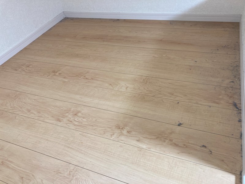 ソフィアソング その他