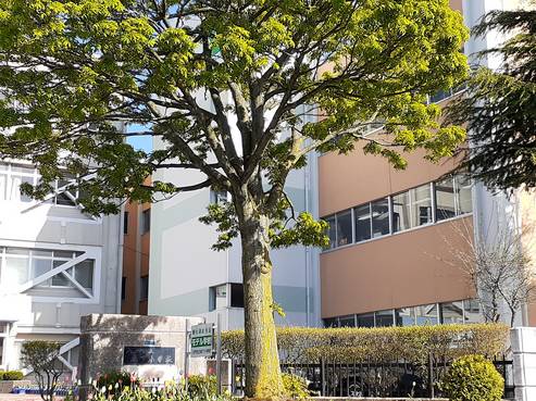 シャンテ城下Ｂ  小学校