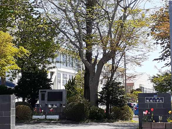 セジュールソレイユB 小学校