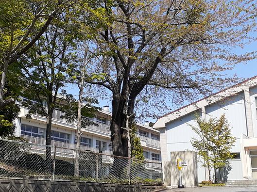 サステナ中居林 小学校