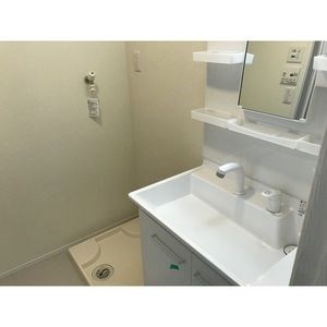 オムソール  洗面所