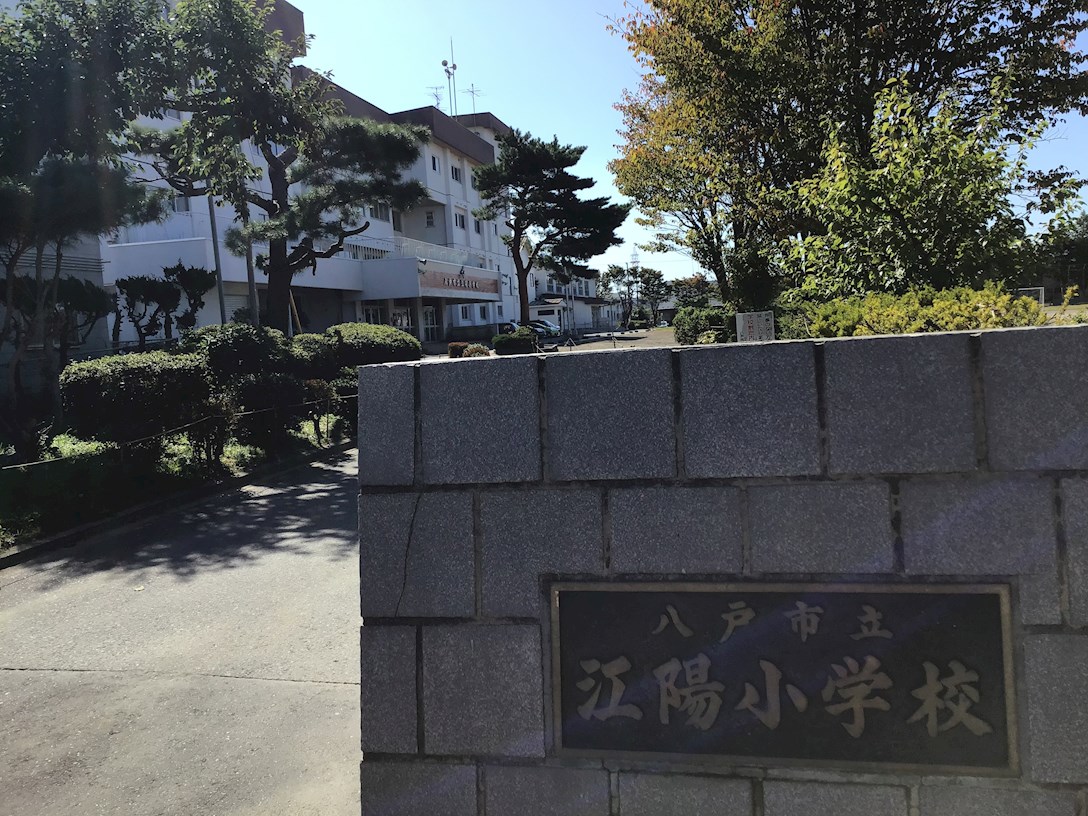 コレサ  小学校