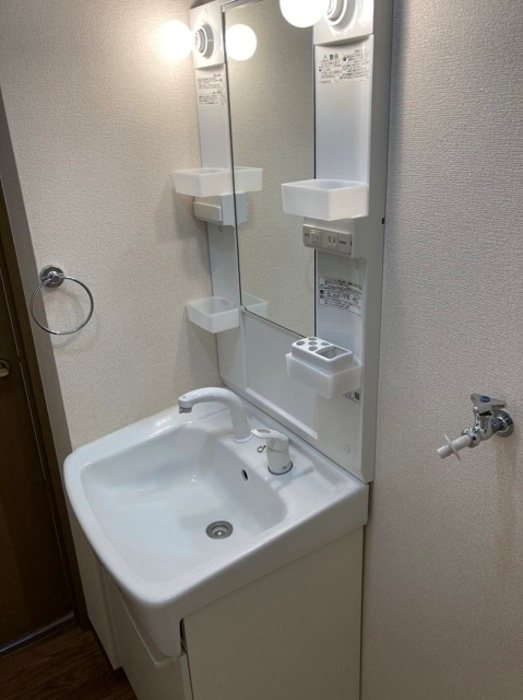 セジュール類家   洗面所
