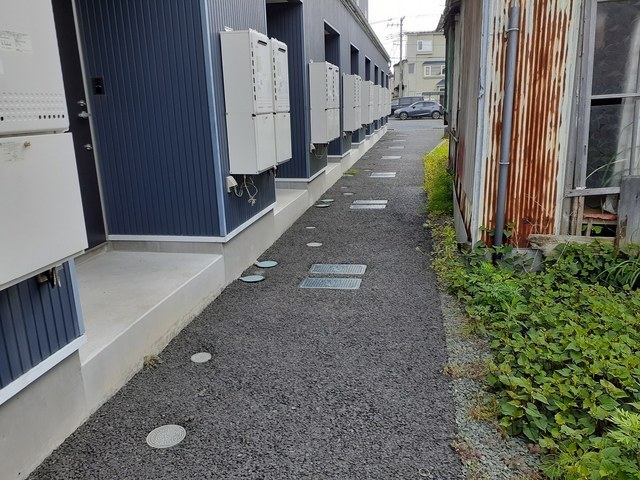 Ｒｈｉｌｌｓ その他
