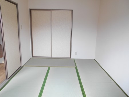 カンファタブル　B その他6