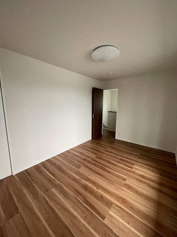 シュライン新須賀 その他11