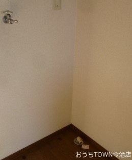 VEGA　Ⅱ その他4