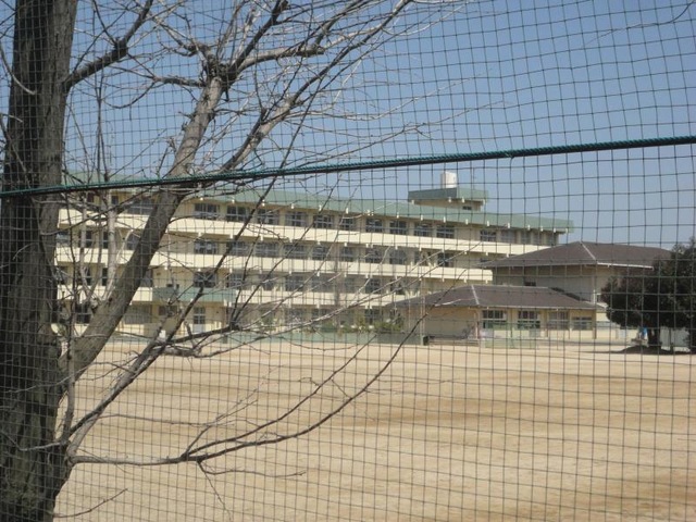サーパス西の土居 周辺画像2