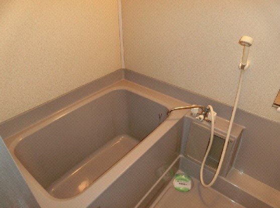 ビラ岸の上 風呂画像