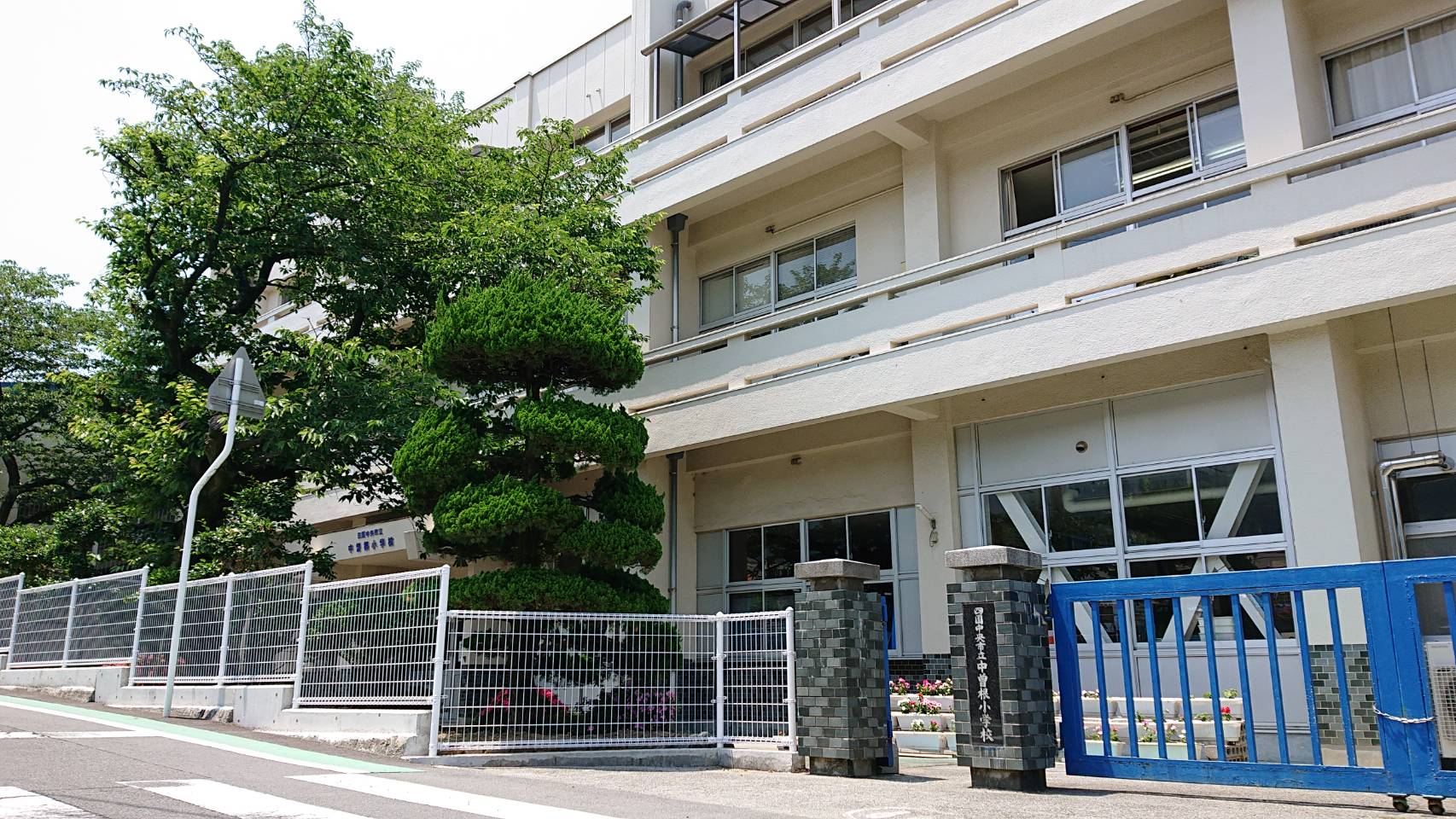 シャーメゾンコンフォーザ 小学校