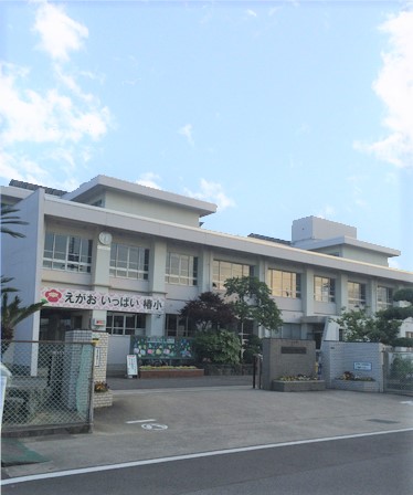 橘貸家（二階建）  周辺画像4